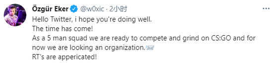 游戏期权市场动态分析成交量与未平仓合约